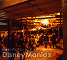 �f�B�Y�j�[�����h�f�B�Y�j�[�����h���f�̃`�L���[���F�X�e�B�b�`�v���[���c�A���n�E�G�E�R���E�}�C